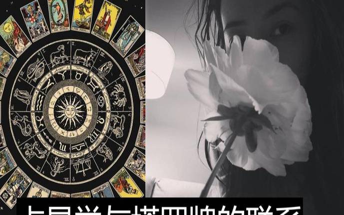 占星骑士2017（亚洲塔罗协会官网）
