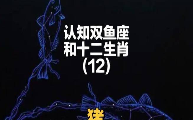 3月1日双鱼座属猪（2021年3月1日双鱼座）