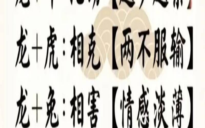 属虎适合生什么属相的孩子（虎宝宝跟龙宝宝哪个比较好）