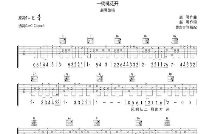 2020年你有几朵桃花（一树桃花开主题曲为你盛开）