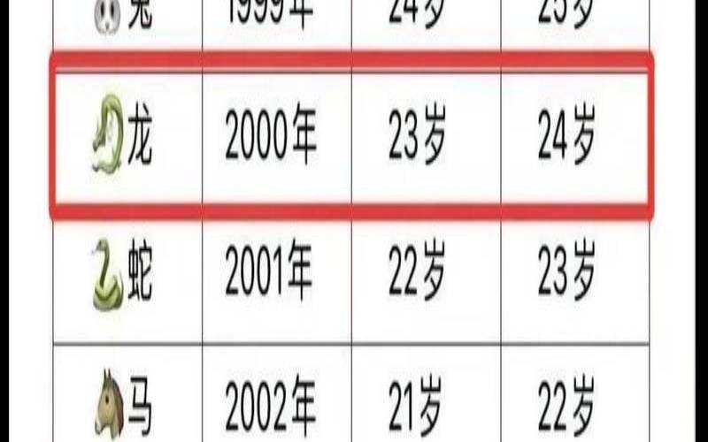 00年属龙的人一生命运（2000年属龙男一生灾难）