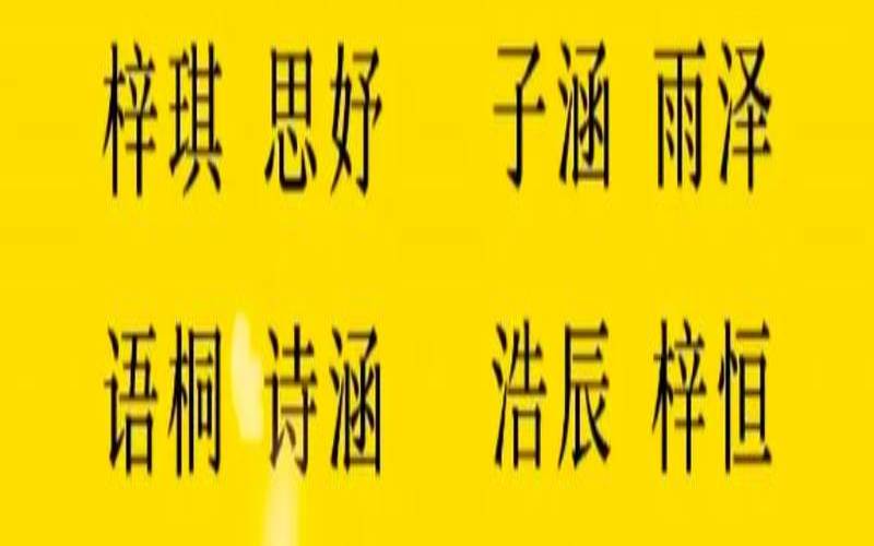 2019年新生儿爆款名字（新生儿取名2024最新款）