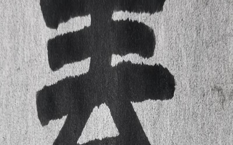 繁体21画属性木（春字五行属金还是木）