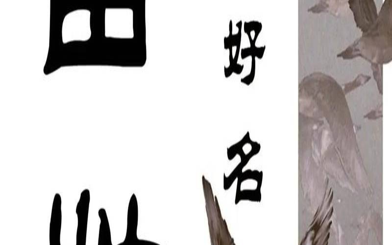 苗氏宝宝起名大全（苗字诗词取名）