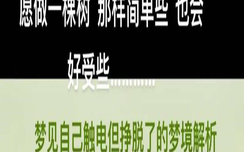 梦到被电了（梦见被电电了一下是啥意思）