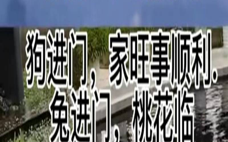 蛇进家门有什么征兆（风水看蛇进家好还是不好）