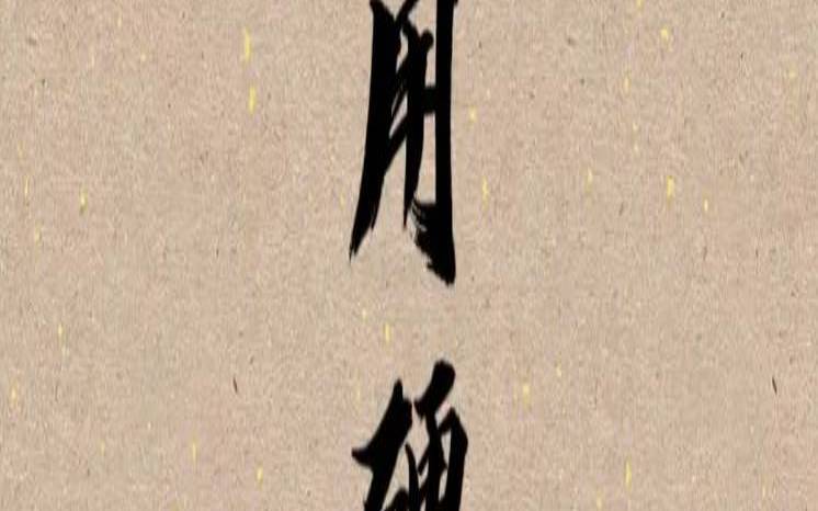 三枚硬币占卜解卦（如何用三个硬币算卦）
