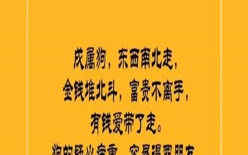 属狗男很喜欢你的表现（属狗男试探你的表现）