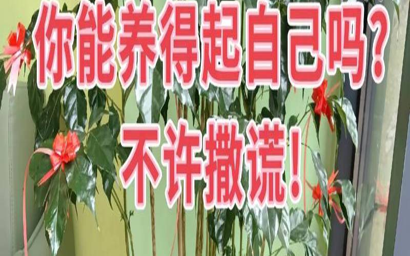 你的他能养得起你吗（你养得起吗下一句怎么回复）