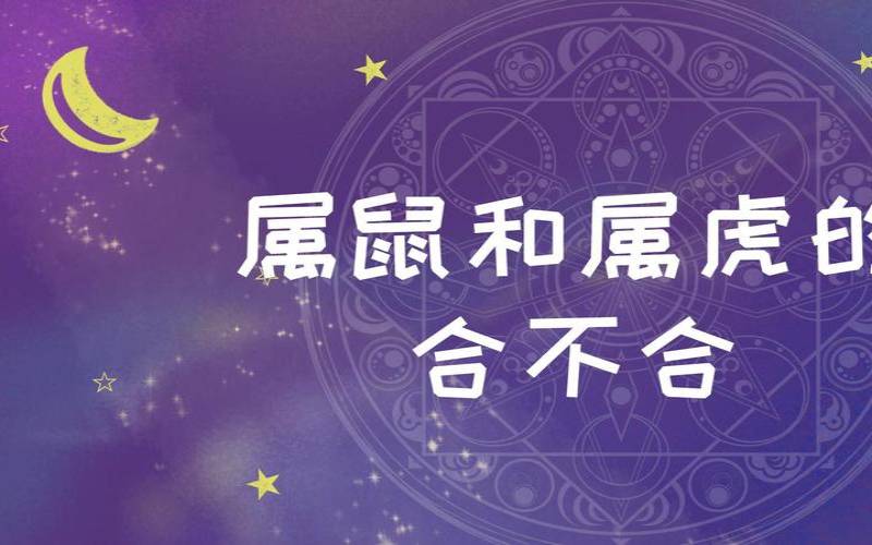 属鼠的和什么属相结合好（老鼠和虎的属相合不合）