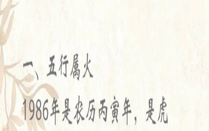 61年的虎是什么命（61年的虎是什么命五行属性）