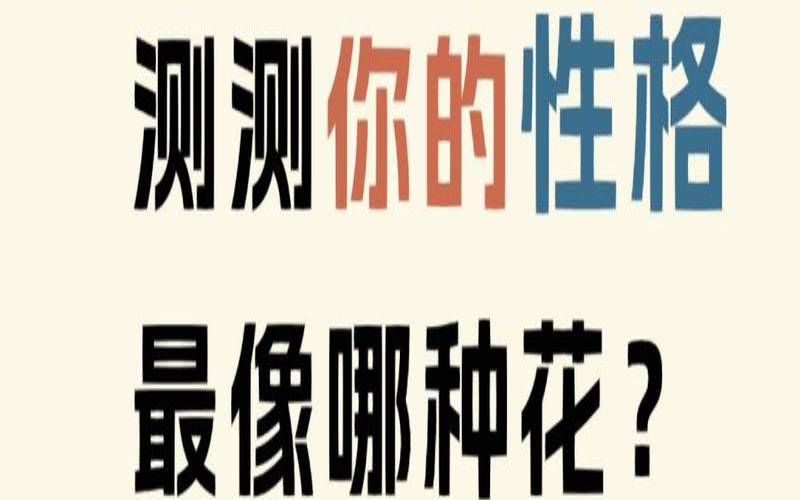 选花测试性格（测试你哪方面异于常人）