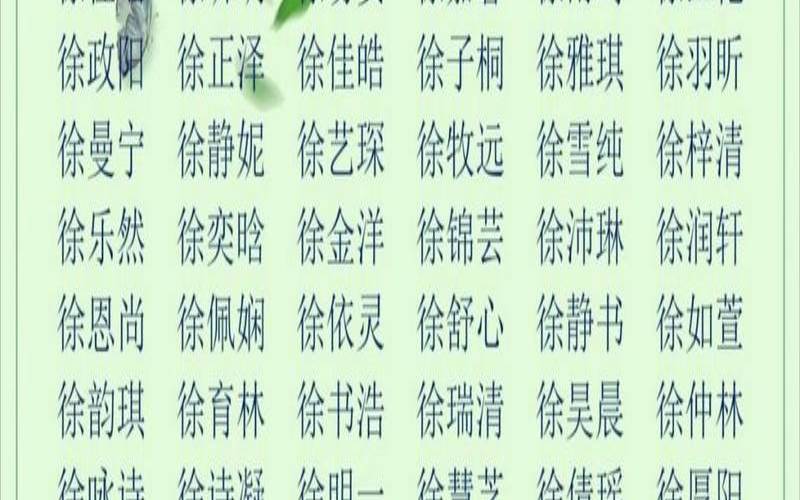 徐姓男宝宝名字大全2020（陈姓女孩取名大全）