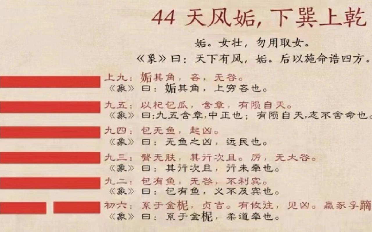 垢卦是吉还是凶（垢卦是好卦吗）