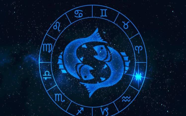 九死一生是指什么生肖（九生一生最佳答案生肖）