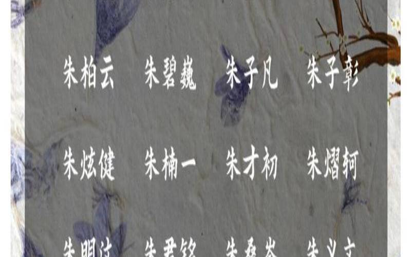 小年出生的男孩名字（小年出生的孩子小名叫什么）