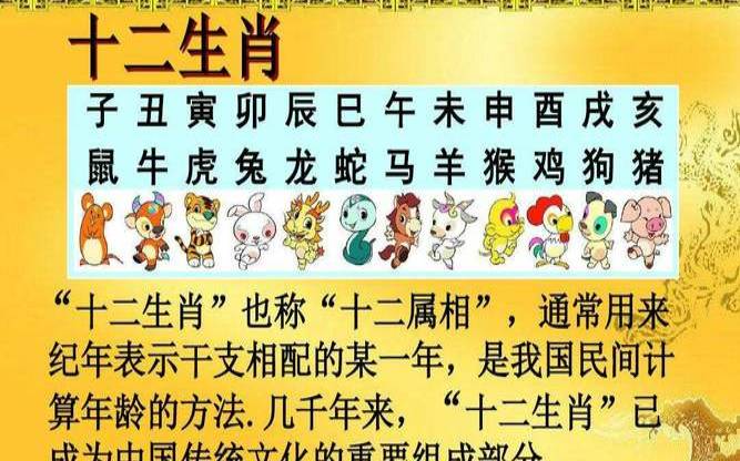 属鼠和属猪的合不合得来,鼠玩不过猪什么意思 属鼠和属猪的合不合得来,鼠玩不过猪什么意思