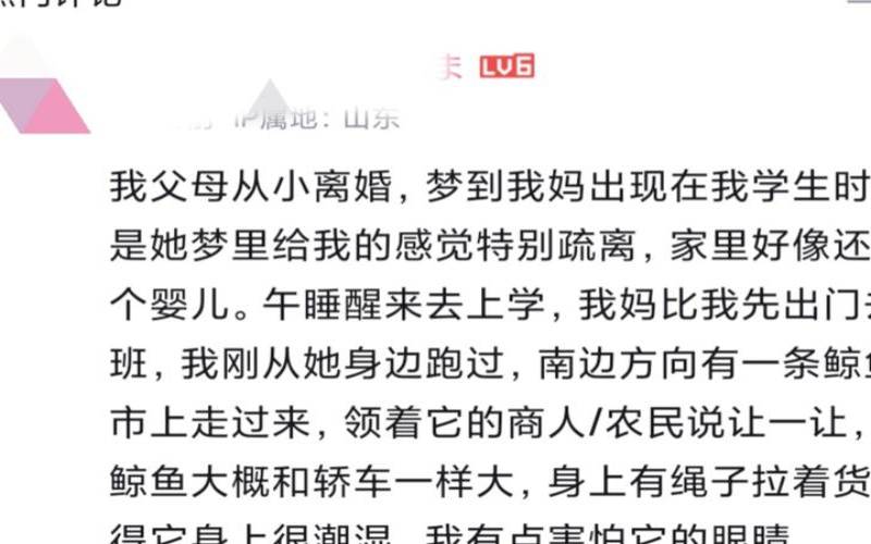 梦到爸妈离婚有什么征兆（梦到离婚的父母复合了）