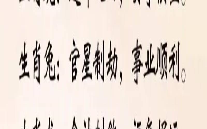 2022生肖鼠全年运势（2022年生肖鼠的运程）