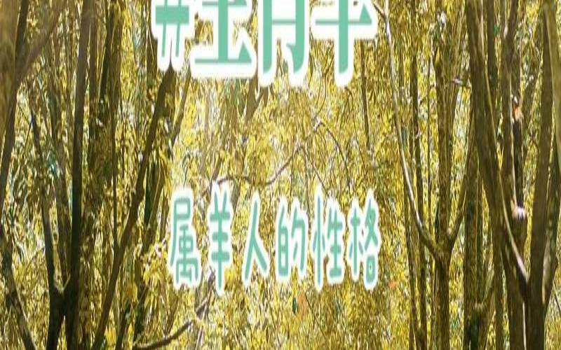 属羊人的优点和缺点（属羊人的弱点）