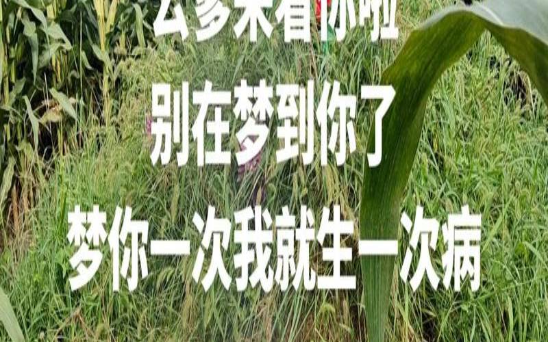 梦到过世的老人和自己说话（梦到已故的老人和自己说话）