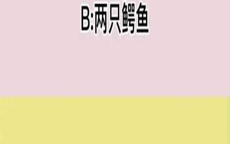 测试你在别人眼里的形象（测你在别人眼中优秀吗）