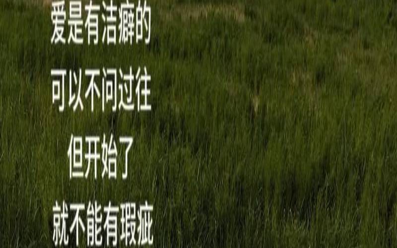 测你是否会在爱情中选择做逃兵（测你会在哪里遇到爱情）