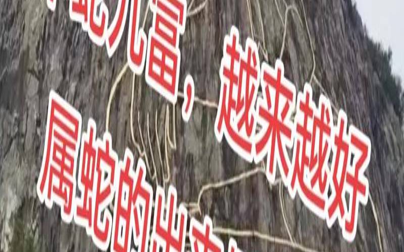 77年属蛇男车牌号幸运数字（属蛇适合开什么品牌的车）
