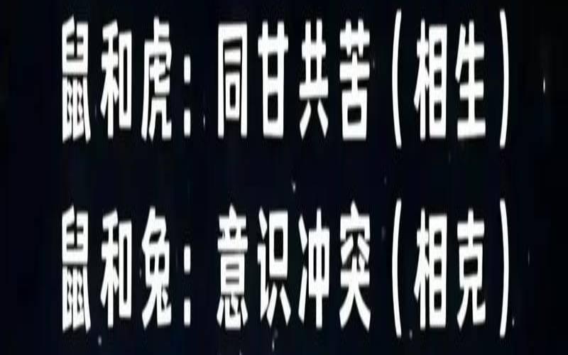 12生肖最佳配偶表2020（十二生肖属相岁数表格）