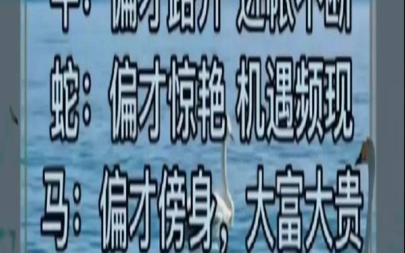 12生肖赚钱能力排名（十二生肖做生意搭配）