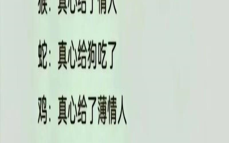 十二生肖喜欢一个人的表现（怎样让喜欢的人也喜欢自己）