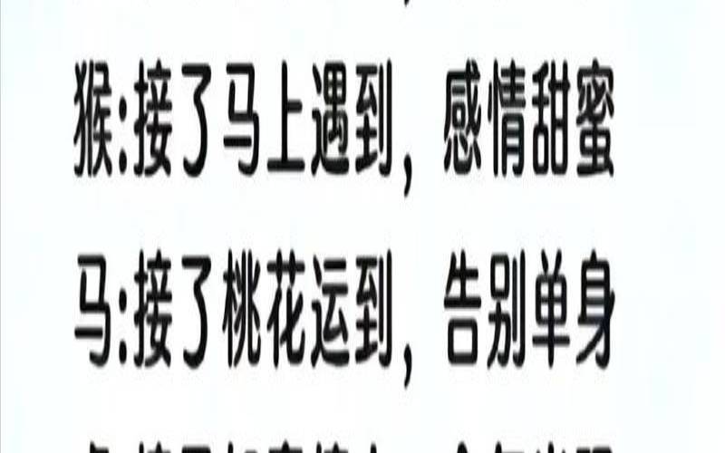 12生肖的梦中情人（12生肖梦中情人是谁）
