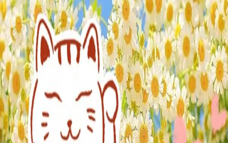 10月份狮子座运势（2021狮子座十月运势）