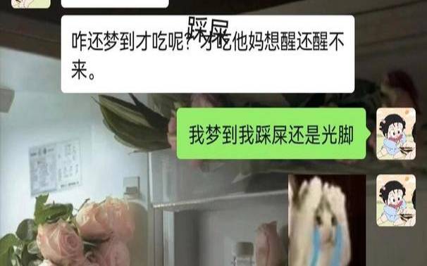 梦见踩屎什么意思（梦见踩到屎了预示什么）