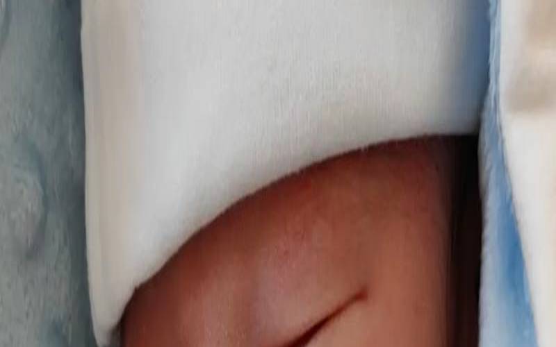 2023年2月3号出生属什么（2022年2月6日出生的宝宝）