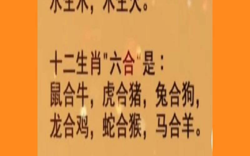 生肖相冲的人结婚会怎么样（结婚属相相冲对谁不好）