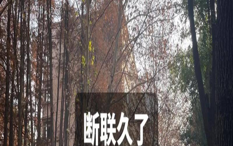 不能接受被分手（真性分手断联10天）