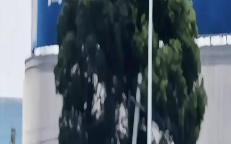 在适合的年龄遇到合适的人（35岁结婚晚不晚）