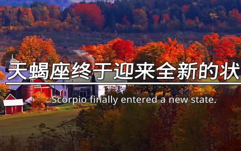 2023年天蝎座彻底大爆发（天蝎座长大会考上什么大学）