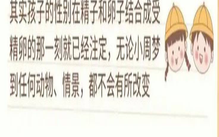 暗示生女的胎梦（怀男宝和女宝的胎梦）