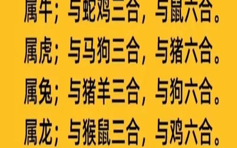 属虎和属羊的合不合（马与虎的情感关系）