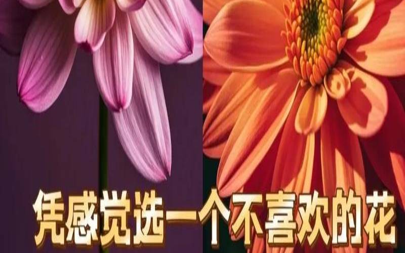 测测你在别人眼里是哪种人（测你的暗藏小人）