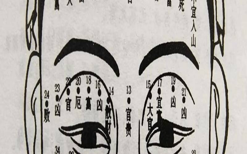 面相图解猴眼面相分析图（眼角有猴子的女人）