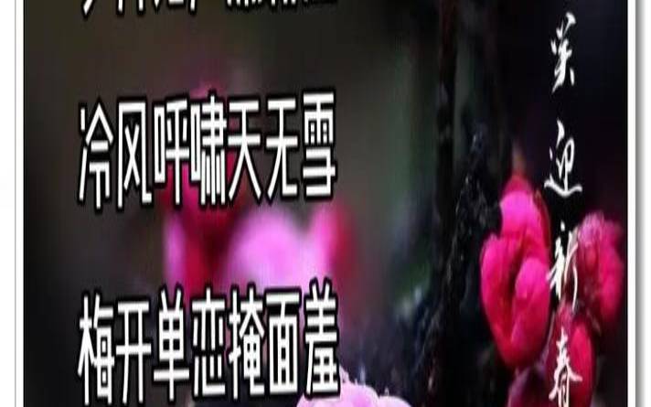 梦见梅雨季节（雪与梅相映成趣的诗句）