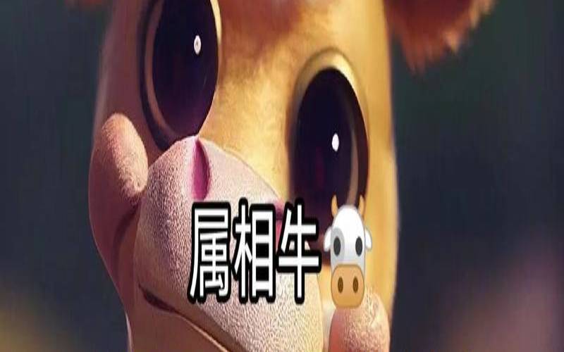 属牛人的吉祥颜色（85属牛什么颜色最聚财）