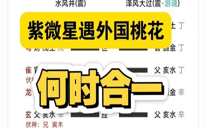 紫微星是桃花星吗（紫微星双生火焰相遇的提示）