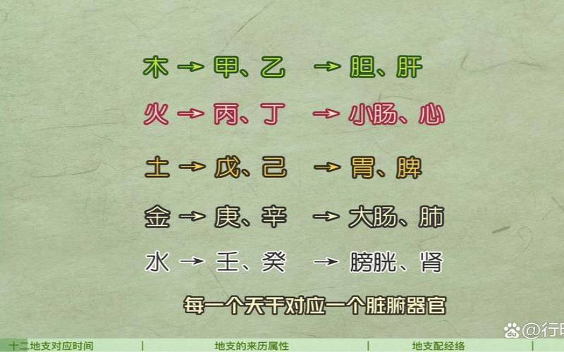 天干地支的现实意义（天干地支在中医里的应用）