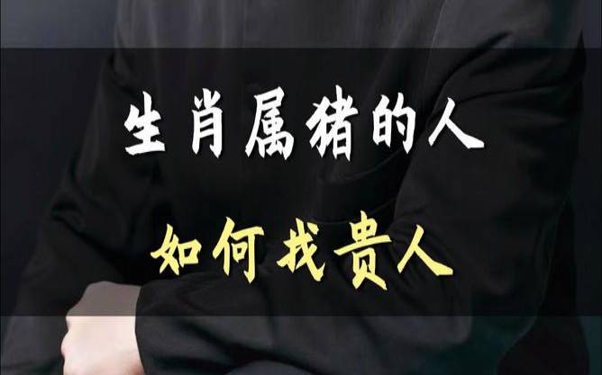 8月猪好吗(8月属猪的人命好不好)