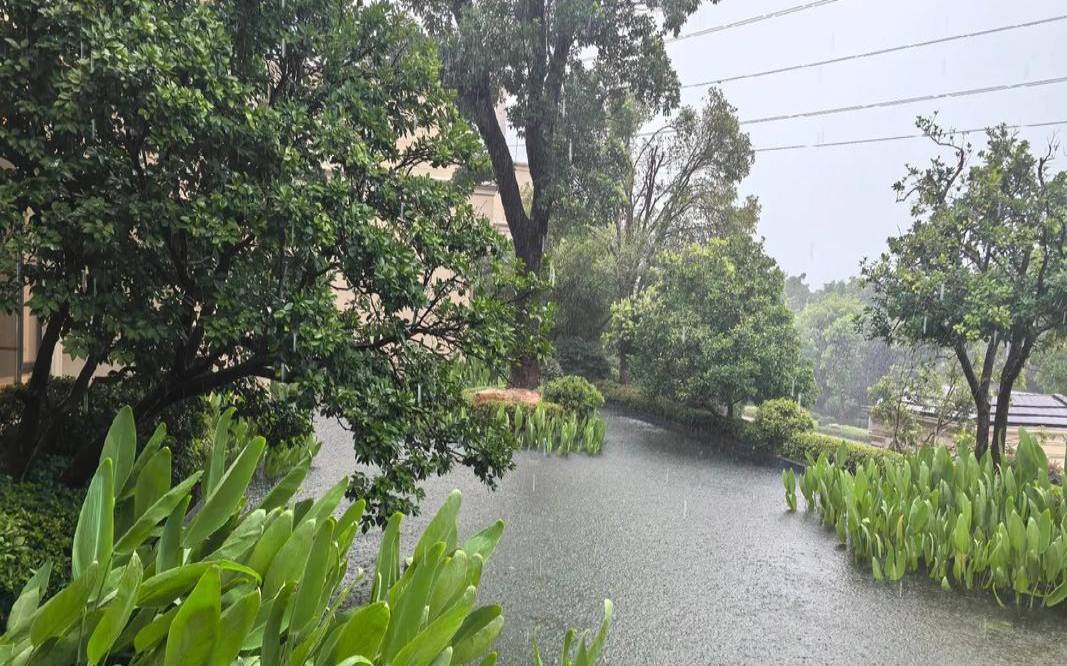 搬家下雨风水是什么意思(下雨有什么好的寓意)
