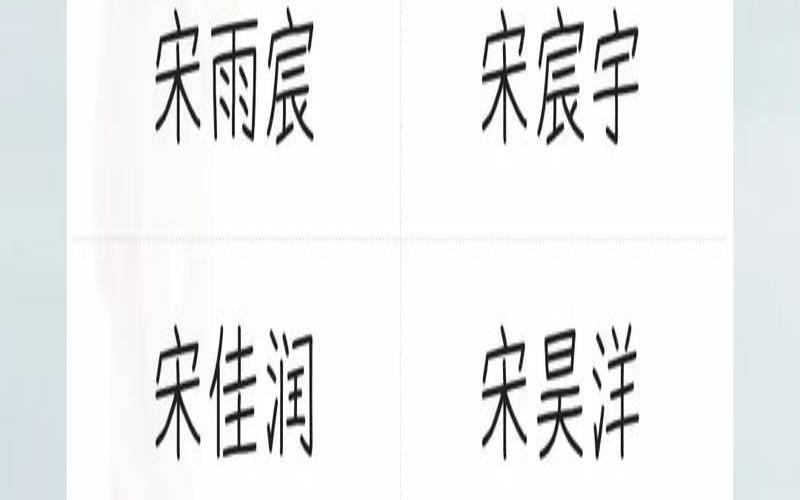 宋姓男宝宝取名大全100分（男孩姓宋有涵养的名字）